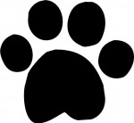 Dog Paw 2