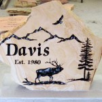 Davis Elk Scene Rock
