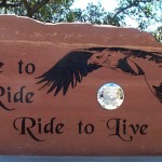 Flagpole Bases for Bikers 5