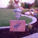 Hanging Plant Stand 7