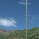 Land of the Free Because Brave